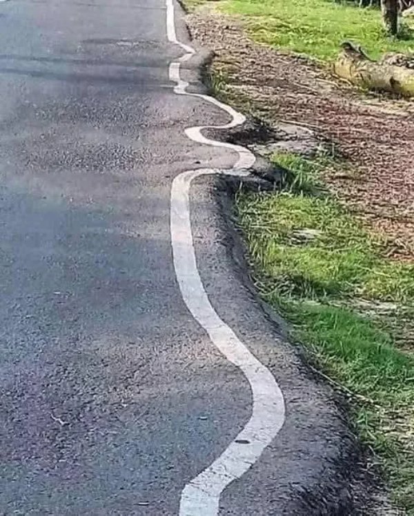 Strange Finds And Situations  (31 pics)