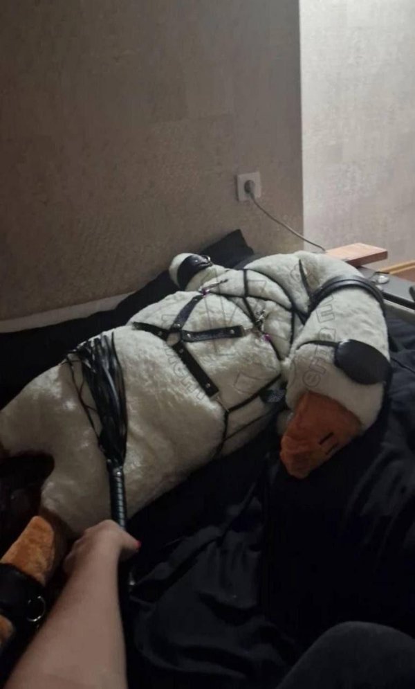 Strange Finds And Situations  (31 pics)