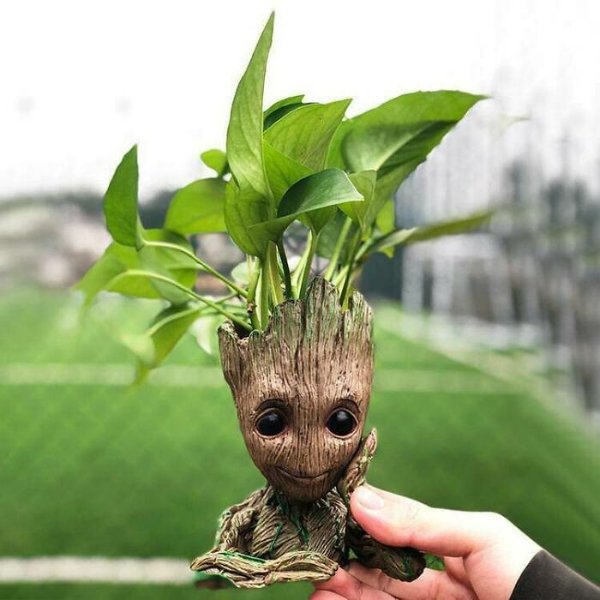 Unusual Designs (39 pics)
