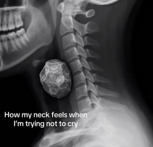 Funny Memes (36 pics)
