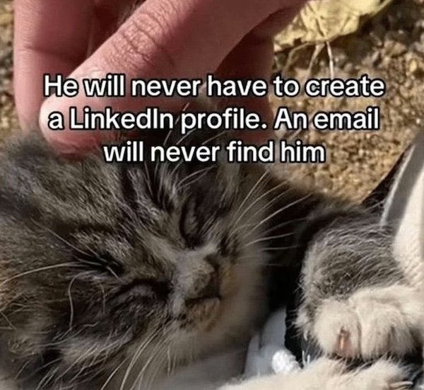 Funny Memes (36 pics)