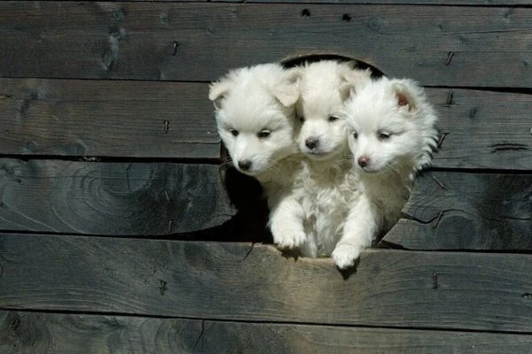 Strange Finds And Situations  (31 pics)