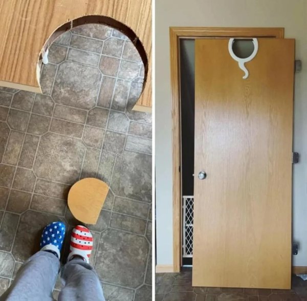 Strange Finds And Situations  (31 pics)