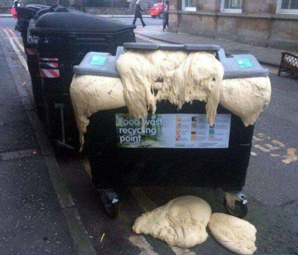 Strange Finds And Situations  (31 pics)