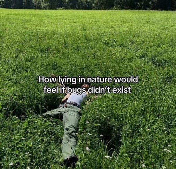 Funny Memes (36 pics)