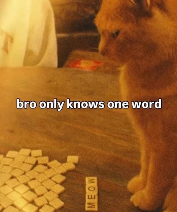 Funny Memes (36 pics)