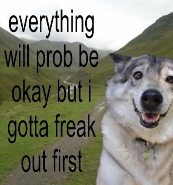 Funny Memes (36 pics)