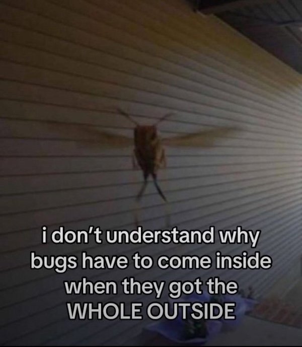Funny Memes (36 pics)