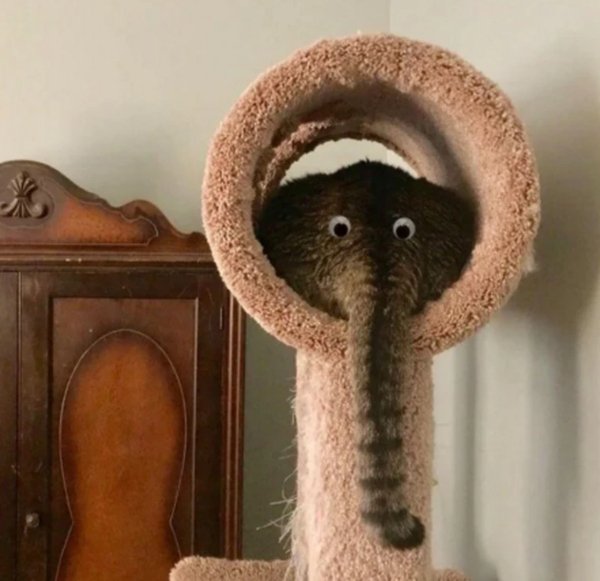 Strange Finds And Situations  (31 pics)