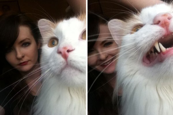 Funny Photobombs (29 pics)