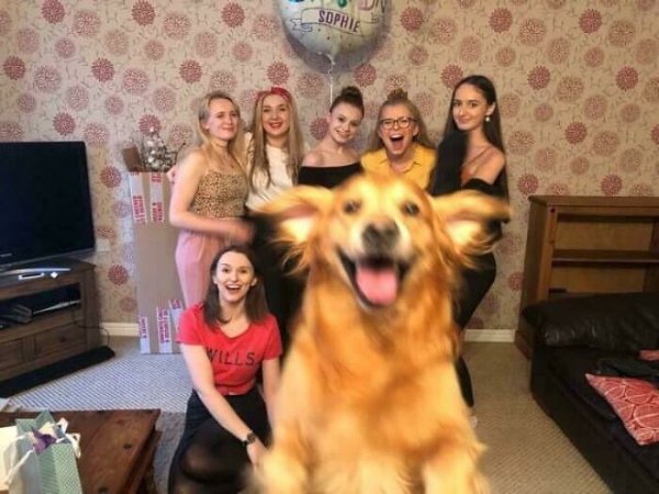 Funny Photobombs (29 pics)
