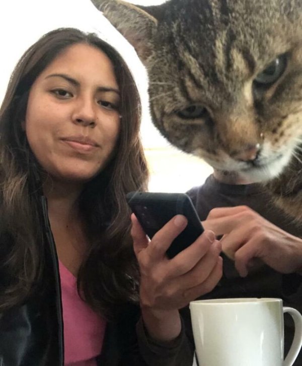 Funny Photobombs (29 pics)