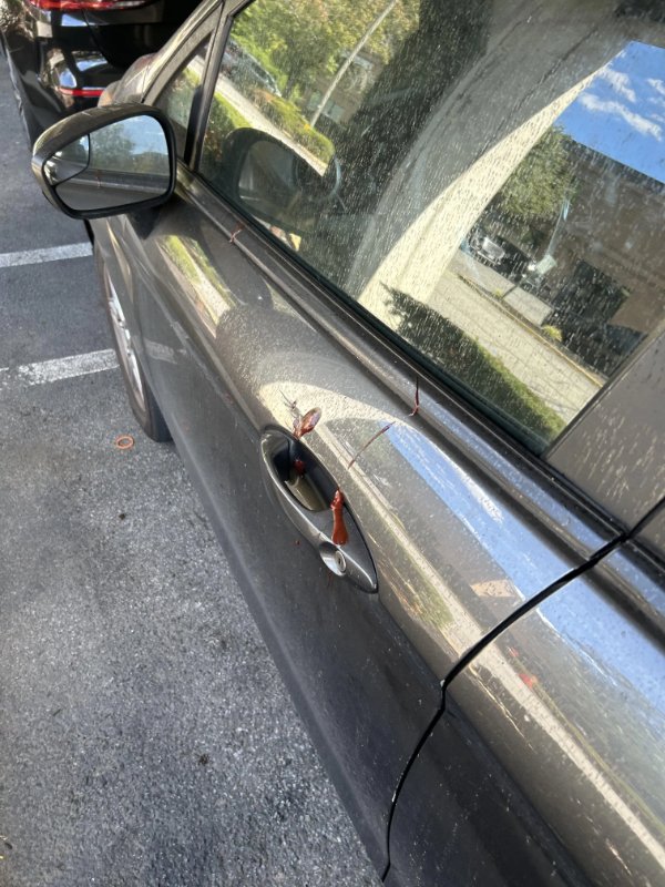 Bad Days Happen (25 pics)