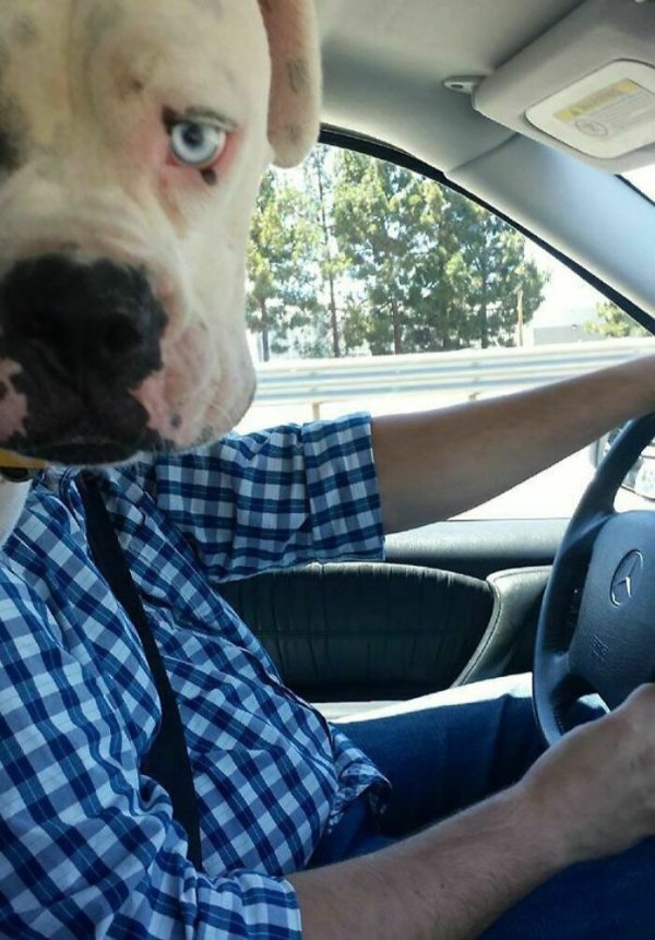 Funny Photobombs (29 pics)