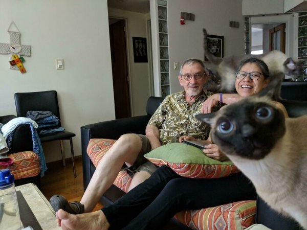 Funny Photobombs (29 pics)