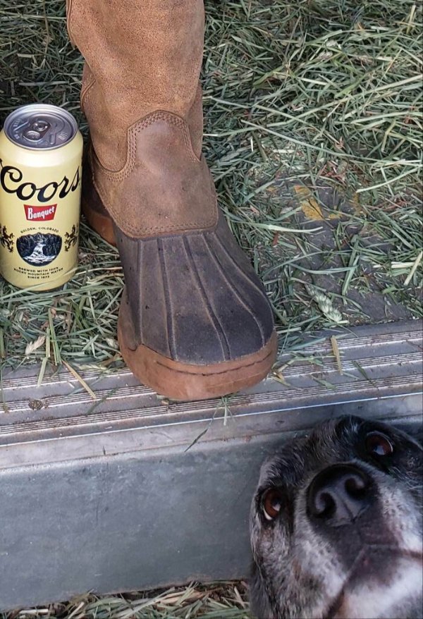 Funny Photobombs (29 pics)