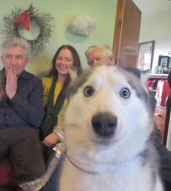 Funny Photobombs (29 pics)