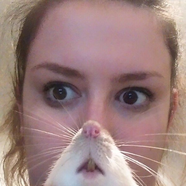 Funny Photobombs (29 pics)