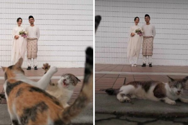 Funny Photobombs (29 pics)