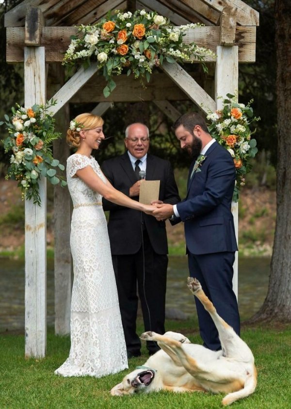 Funny Photobombs (29 pics)
