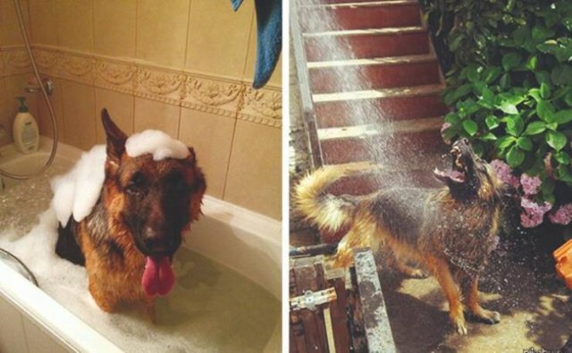 Interesting Comparisons (27 pics)