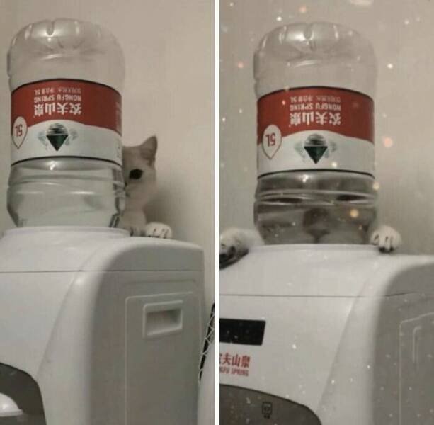 What Is Going On Here? (18 pics)