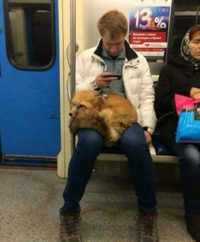 Strange People In The Subway (21 pics)