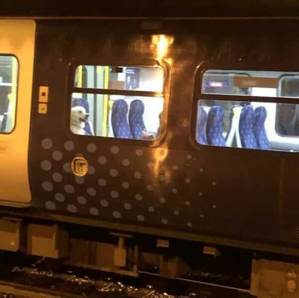 Strange People In The Subway (21 pics)
