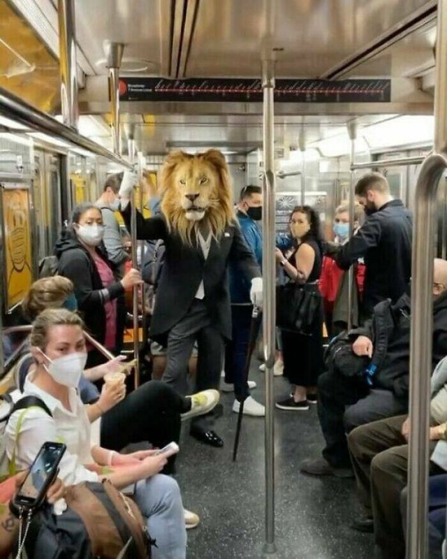 Strange People In The Subway (21 pics)