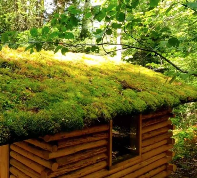 Bushcraft Photos (19 pics)