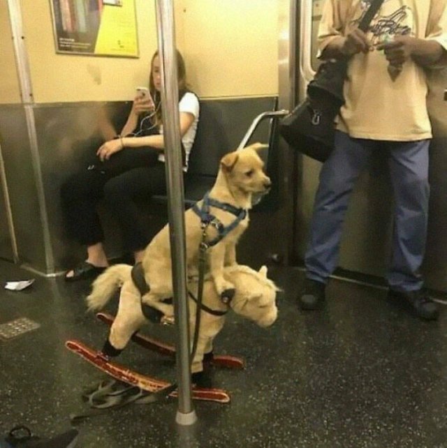 Strange People In The Subway (21 pics)