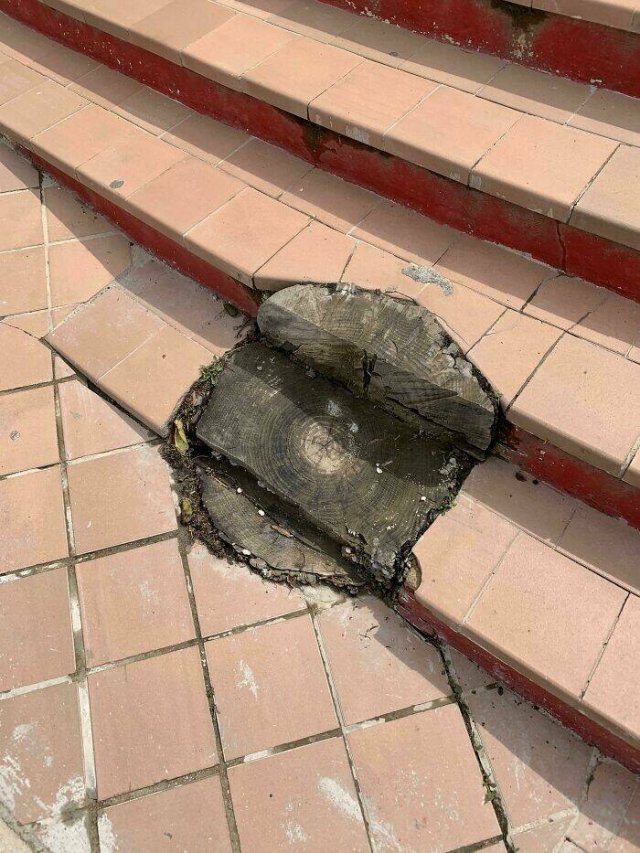 Epic Fails (23 pics)