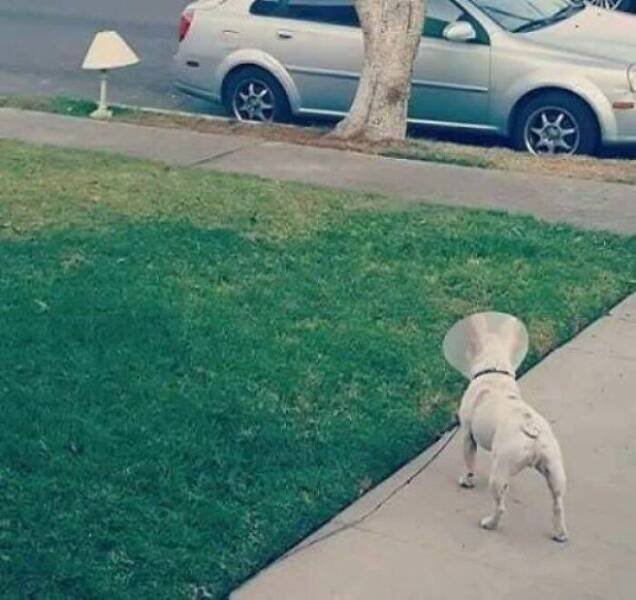 What Is Going On Here? (18 pics)