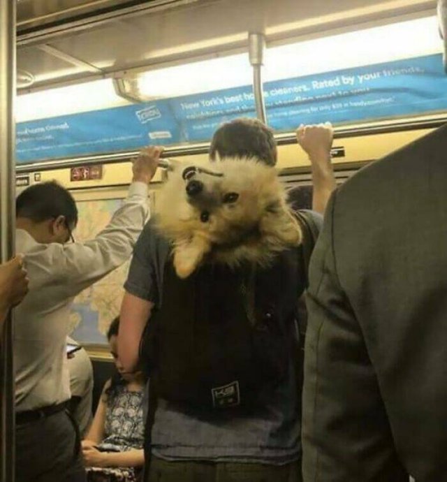 Strange People In The Subway (21 pics)
