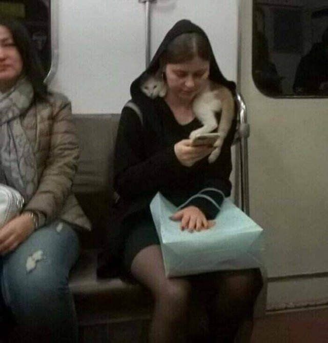 Strange People In The Subway (21 pics)