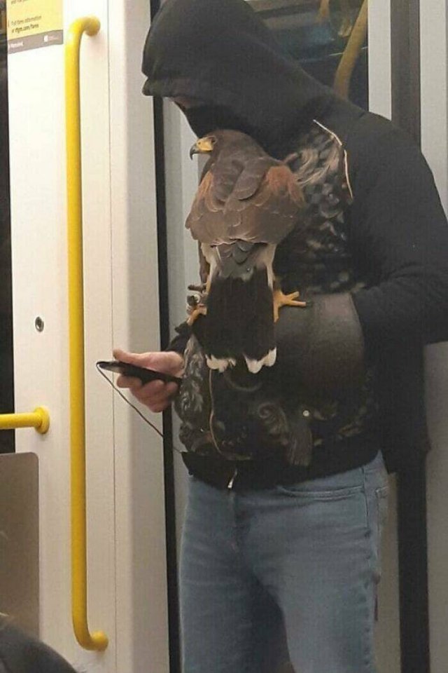 Strange People In The Subway (21 pics)
