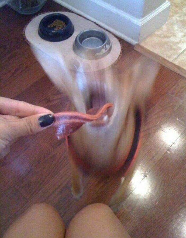 What Is Going On Here? (18 pics)