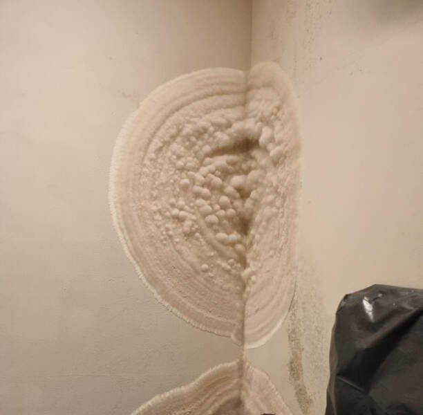 Unfortunate Situations (20 pics)
