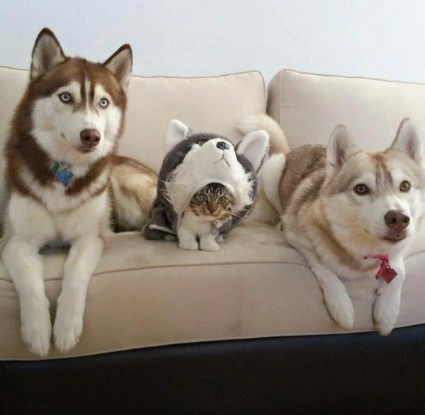 Strange Finds And Situations (32 pics)