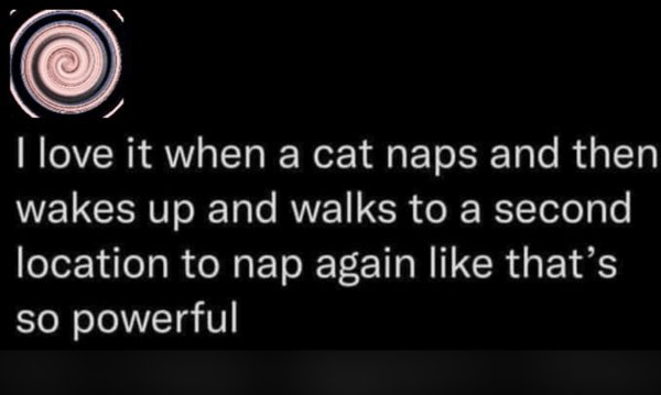 Jokes And Photos For Cat Lovers (29 pics)