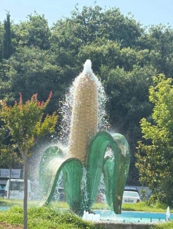 Strange Finds And Situations (32 pics)