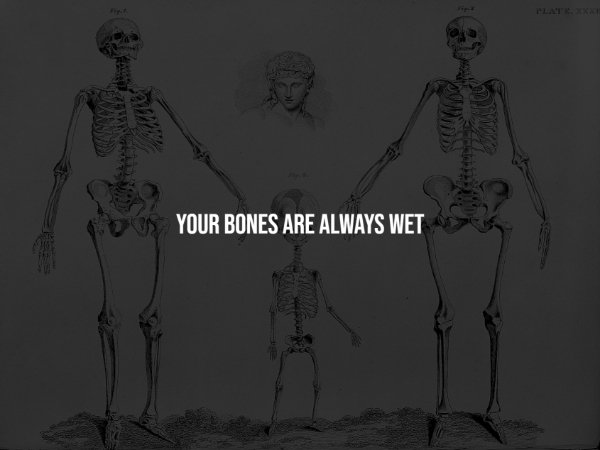 Creepy Facts (14 pics)