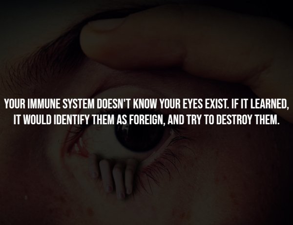 Creepy Facts (14 pics)