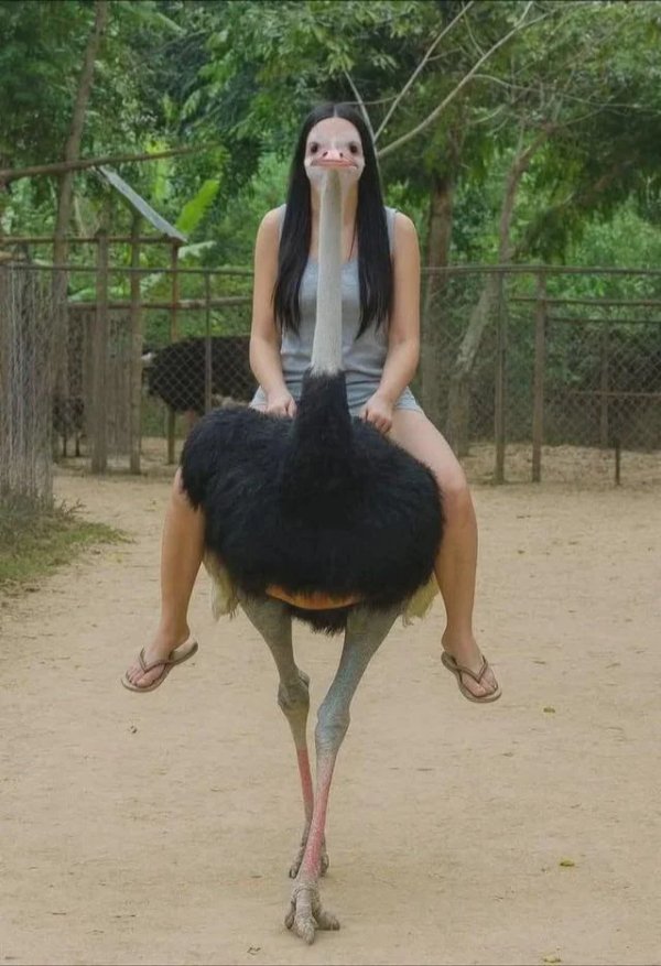 Strange Finds And Situations (32 pics)