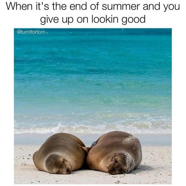 Autumn Memes (18 pics)