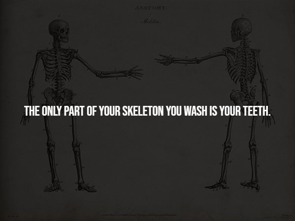 Creepy Facts (14 pics)