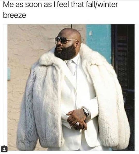 Autumn Memes (18 pics)