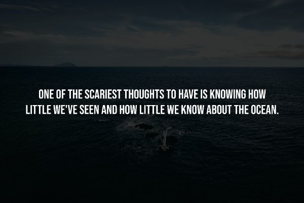 Creepy Facts (14 pics)