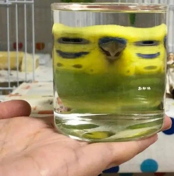 Strange Finds And Situations (32 pics)