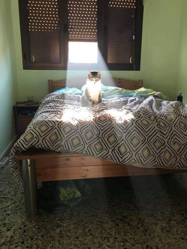 Strange Finds And Situations (32 pics)